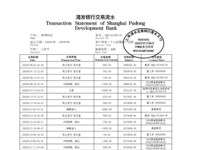 浙江个人薪资流水制作